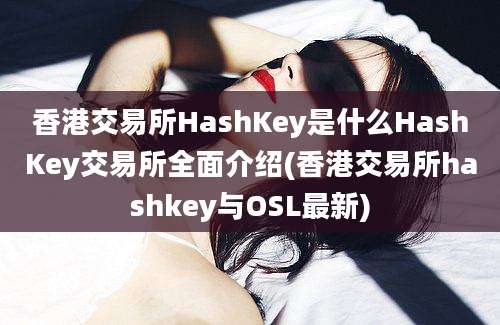 香港交易所HashKey是什么HashKey交易所全面介绍(香港交易所hashkey与OSL最新)