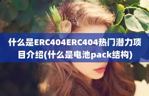 什么是ERC404ERC404热门潜力项目介绍(什么是电池pack结构)