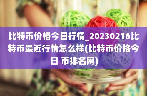 比特币价格今日行情_20230216比特币最近行情怎么样(比特币价格今日 币排名网)