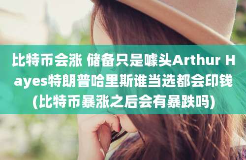 比特币会涨 储备只是噱头Arthur Hayes特朗普哈里斯谁当选都会印钱(比特币暴涨之后会有暴跌吗)