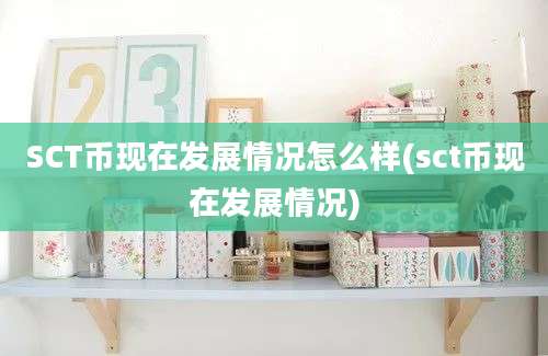 SCT币现在发展情况怎么样(sct币现在发展情况)