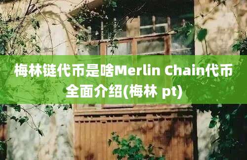 梅林链代币是啥Merlin Chain代币全面介绍(梅林 pt)