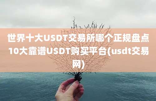 世界十大USDT交易所哪个正规盘点10大靠谱USDT购买平台(usdt交易网)