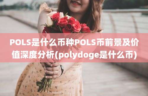 POLS是什么币种POLS币前景及价值深度分析(polydoge是什么币)