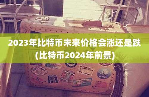 2023年比特币未来价格会涨还是跌(比特币2024年前景)