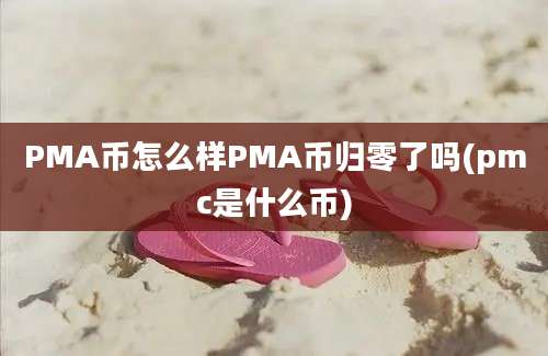 PMA币怎么样PMA币归零了吗(pmc是什么币)