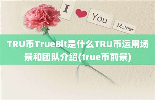 TRU币TrueBit是什么TRU币运用场景和团队介绍(true币前景)