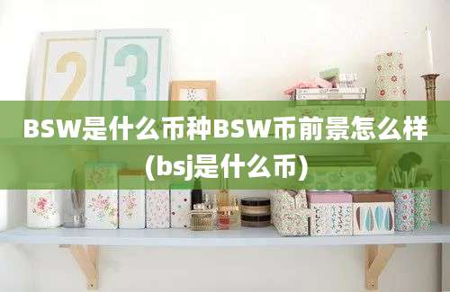 BSW是什么币种BSW币前景怎么样(bsj是什么币)