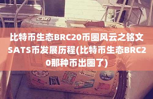 比特币生态BRC20币圈风云之铭文SATS币发展历程(比特币生态BRC20那种币出圈了)