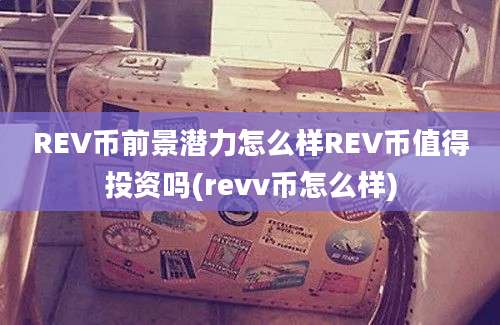 REV币前景潜力怎么样REV币值得投资吗(revv币怎么样)