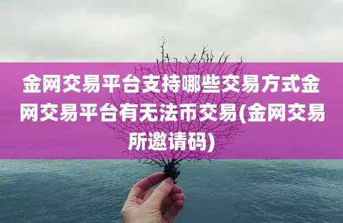 金网交易平台支持哪些交易方式金网交易平台有无法币交易(金网交易所邀请码)