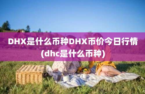 DHX是什么币种DHX币价今日行情(dhc是什么币种)