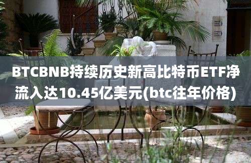 BTCBNB持续历史新高比特币ETF净流入达10.45亿美元(btc往年价格)