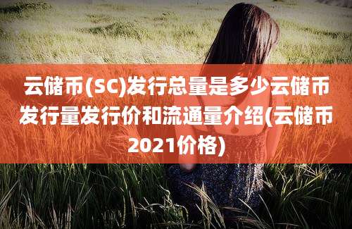 云储币(SC)发行总量是多少云储币发行量发行价和流通量介绍(云储币2021价格)