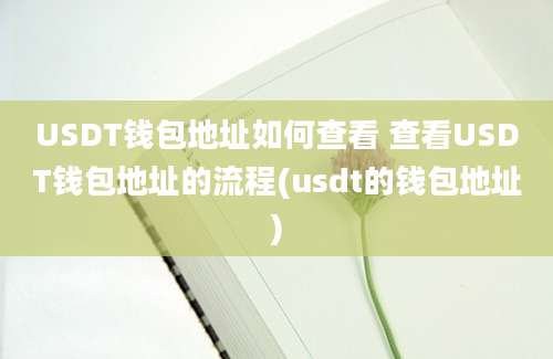 USDT钱包地址如何查看 查看USDT钱包地址的流程(usdt的钱包地址)