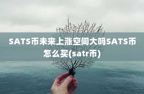 SATS币未来上涨空间大吗SATS币怎么买(satr币)