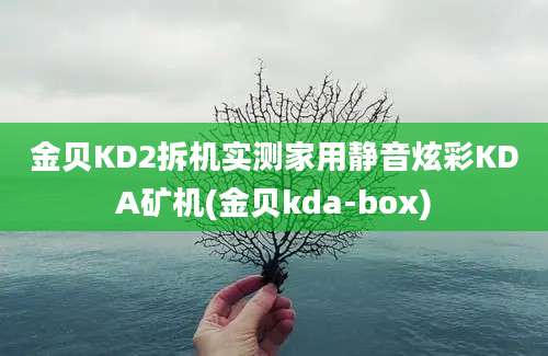 金贝KD2拆机实测家用静音炫彩KDA矿机(金贝kda-box)