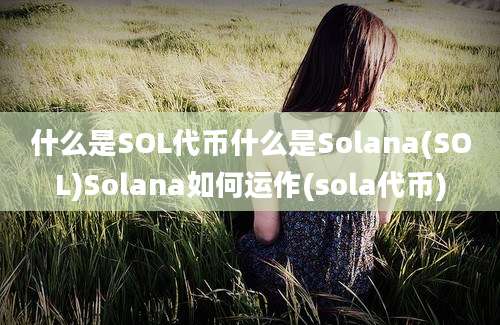 什么是SOL代币什么是Solana(SOL)Solana如何运作(sola代币)