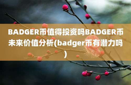 BADGER币值得投资吗BADGER币未来价值分析(badger币有潜力吗)