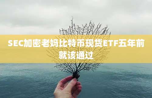 SEC加密老妈比特币现货ETF五年前就该通过