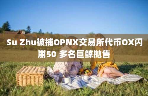 Su Zhu被捕OPNX交易所代币OX闪崩50 多名巨鲸抛售