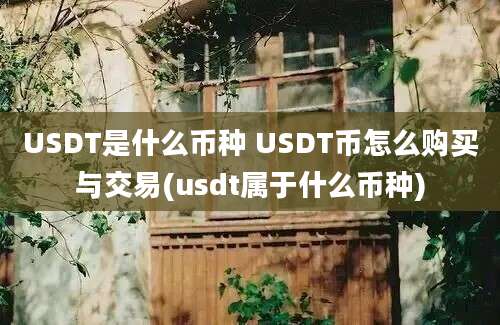 USDT是什么币种 USDT币怎么购买与交易(usdt属于什么币种)