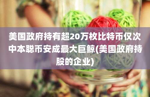 美国政府持有超20万枚比特币仅次中本聪币安成最大巨鲸(美国政府持股的企业)