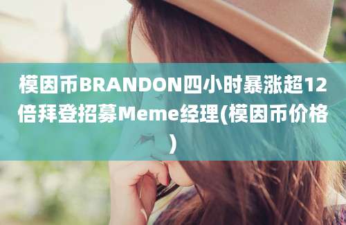 模因币BRANDON四小时暴涨超12倍拜登招募Meme经理(模因币价格)