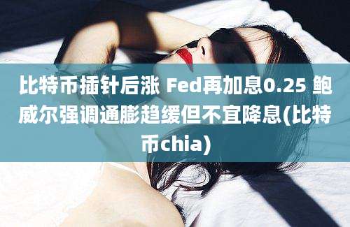 比特币插针后涨 Fed再加息0.25 鲍威尔强调通膨趋缓但不宜降息(比特币chia)