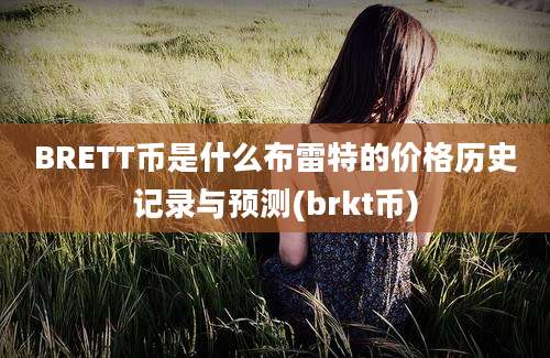 BRETT币是什么布雷特的价格历史记录与预测(brkt币)