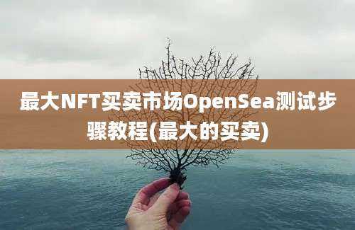 最大NFT买卖市场OpenSea测试步骤教程(最大的买卖)