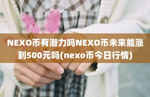 NEXO币有潜力吗NEXO币未来能涨到500元吗(nexo币今日行情)