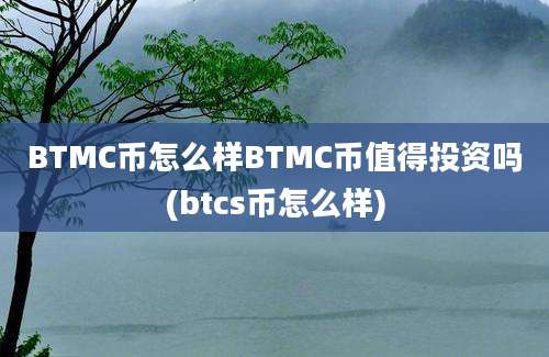 BTMC币怎么样BTMC币值得投资吗(btcs币怎么样)