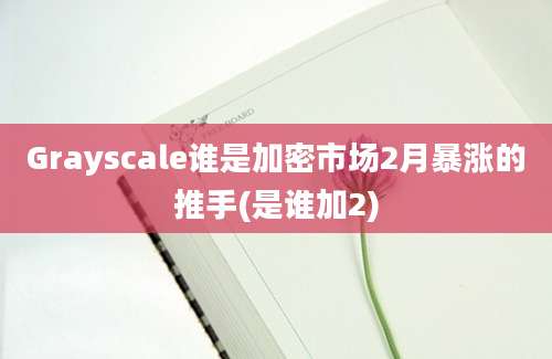 Grayscale谁是加密市场2月暴涨的推手(是谁加2)