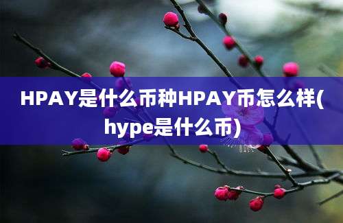 HPAY是什么币种HPAY币怎么样(hype是什么币)