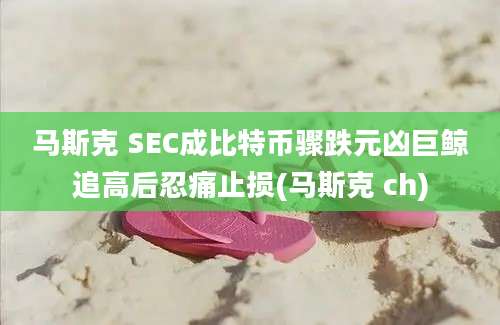 马斯克 SEC成比特币骤跌元凶巨鲸追高后忍痛止损(马斯克 ch)