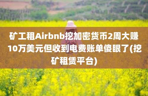 矿工租Airbnb挖加密货币2周大赚10万美元但收到电费账单傻眼了(挖矿租赁平台)