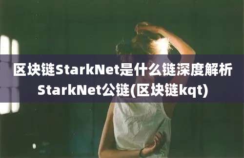 区块链StarkNet是什么链深度解析StarkNet公链(区块链kqt)