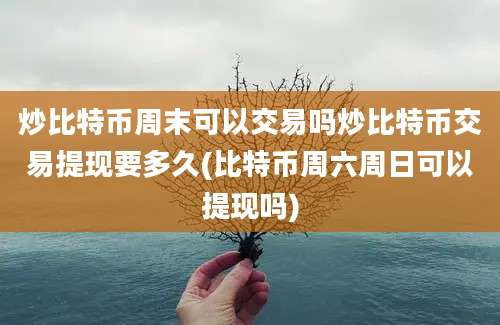 炒比特币周末可以交易吗炒比特币交易提现要多久(比特币周六周日可以提现吗)