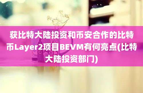 获比特大陆投资和币安合作的比特币Layer2项目BEVM有何亮点(比特大陆投资部门)