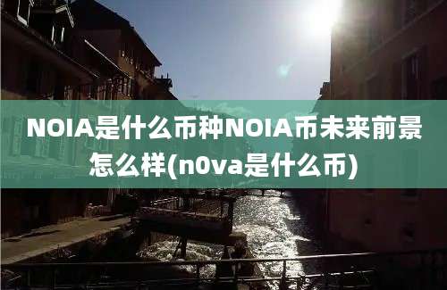 NOIA是什么币种NOIA币未来前景怎么样(n0va是什么币)