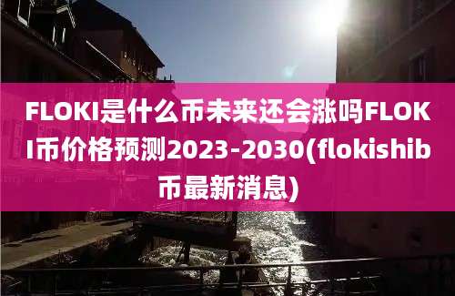 FLOKI是什么币未来还会涨吗FLOKI币价格预测2023-2030(flokishib币最新消息)