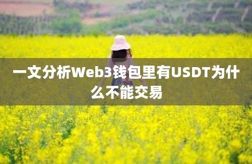 一文分析Web3钱包里有USDT为什么不能交易