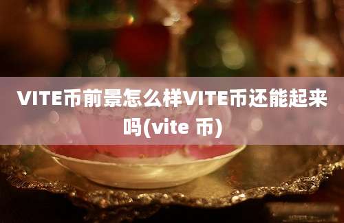 VITE币前景怎么样VITE币还能起来吗(vite 币)