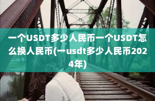 一个USDT多少人民币一个USDT怎么换人民币(一usdt多少人民币2024年)