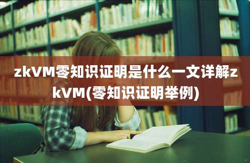 zkVM零知识证明是什么一文详解zkVM(零知识证明举例)