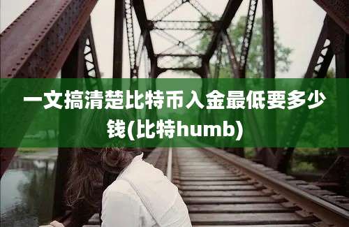 一文搞清楚比特币入金最低要多少钱(比特humb)