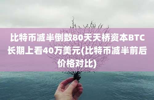 比特币减半倒数80天天桥资本BTC长期上看40万美元(比特币减半前后价格对比)