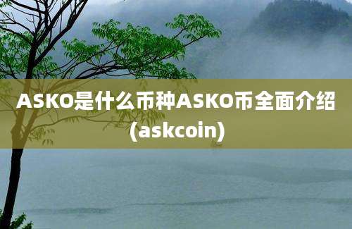 ASKO是什么币种ASKO币全面介绍(askcoin)