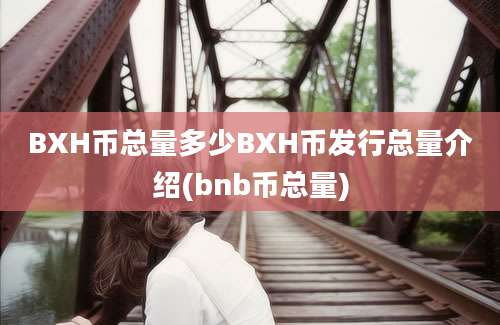 BXH币总量多少BXH币发行总量介绍(bnb币总量)